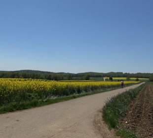 Magolsheimer Buchtalweg