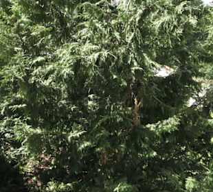 Schloss Lichtenstein