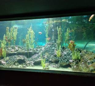 Großer Tank am Ende