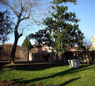 Naturaleza en un museo