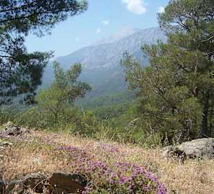 Blick zum 2.365 m hohen Tahtali