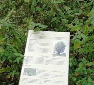 Schaugarten Eninger Weide