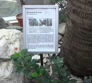 Tropicarium - Trockentropen