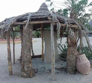 Quadtour...Bei Delfinauslfug mit Mo