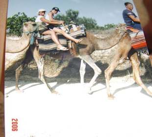 Kamelreiten