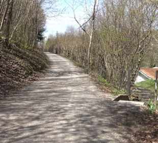 Spazierweg Ritter Museum