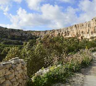 Klify Dingli