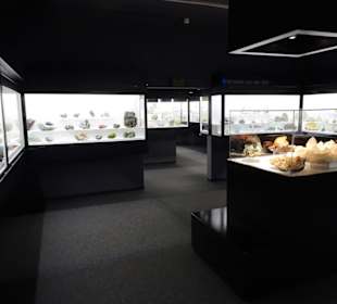 In der geologischen Abteilung