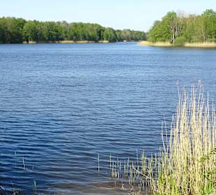 Impressionen vom Rundweg um den Oyter See
