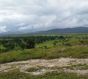 Sarova Salt Lick Game Lodge