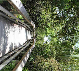 Steg über die Glades