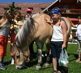 Gut Aiderbichl bei Salzburg - Landhotel Prinz