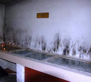 Kathedrale St. Peter und Paul