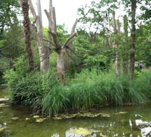 Tierpark Hellabrunn - Welt der Affen