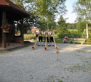 Alphornbläser im Strandbad Weissensee