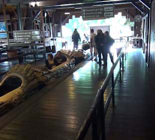 Themenbereich Österreich