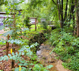 Infotafeln entlang vom Bach