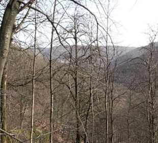 Wasserfallsteig