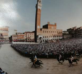 Foto vom Palio