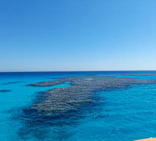 Ein Tag auf der Dreamlife - Delphintour Exklusiv