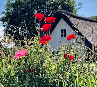 Wandern Süderhafen 