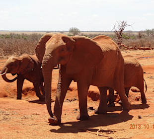 Viel näher geht nicht