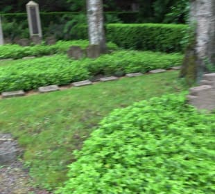 Stadtfriedhof Bad Waldsee
