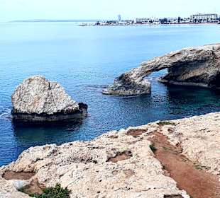 Ayia Napa Bogen Monachus Monachus