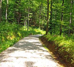 Der Therapeutische Wanderweg