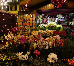 Weihnachten im Funchal