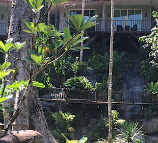 Khao Sok Nationalpark