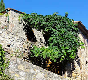 Impressionen aus dem mittelalterlichen Dorf