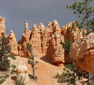 Bryce Canyon N.P.