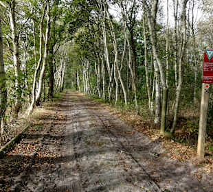 Zugang zur Naturroute Holler- und Wittemoor