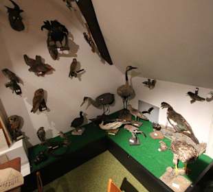 Heimische Tiersammlung