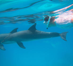 Nur gucken nicht anfassen!