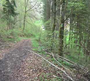 Premiumwanderweg Hochgebürzelt