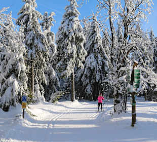 Wandern Gstadt am Chiemsee