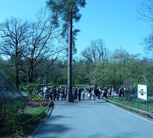 Zoo - Anlage