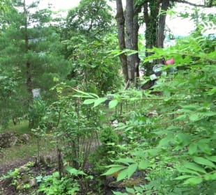 Mezger's Bürgle Park Salzstetten