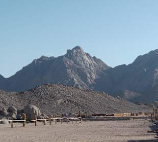 Ausflug in die Wüste