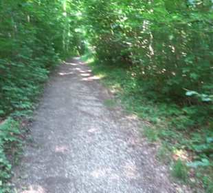 Waldlehrpfad St. Johann