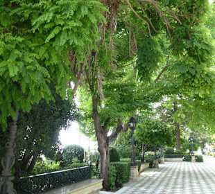 Cádiz