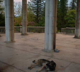 Ruine des Sanatoriums