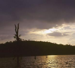 Abendstimmung im Nationalpark Periyar