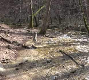 Bad Uracher Wasserfall