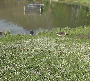 Unterer Schlossgarten Stuttgart