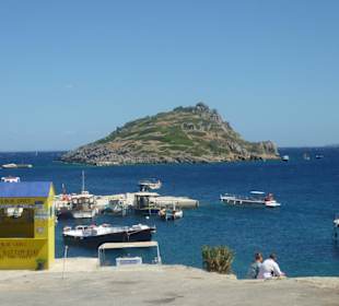 Die Schildkröteninsel