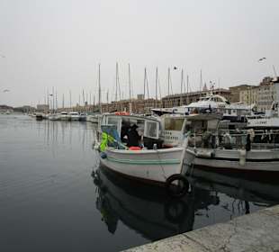Fischmarkt frisch vom Kutter