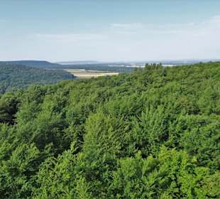 Blick vom Turm des Baumwipfelpfades Steigerwald